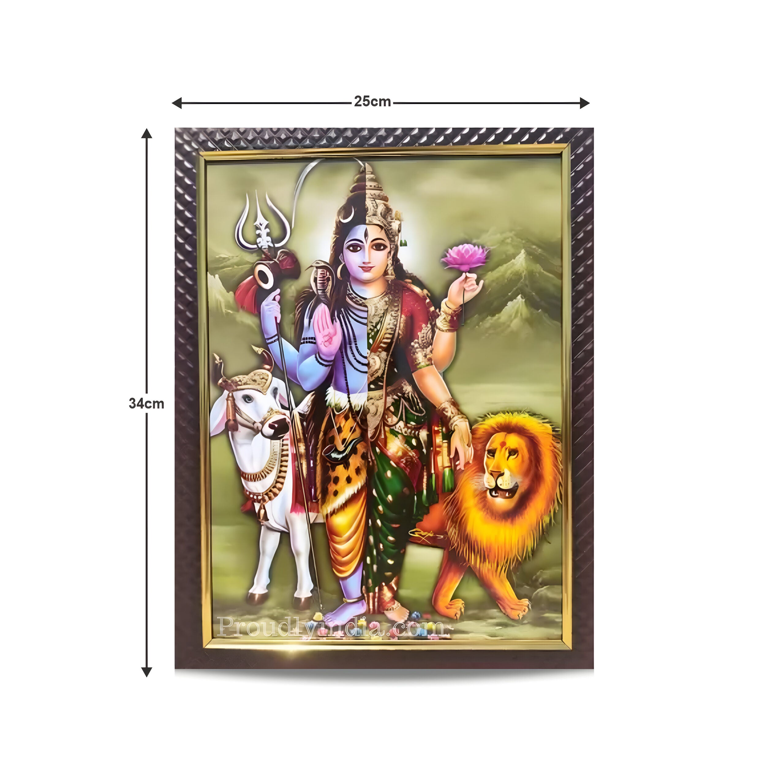 Ardhanareeshwar Photo Religious Frame
