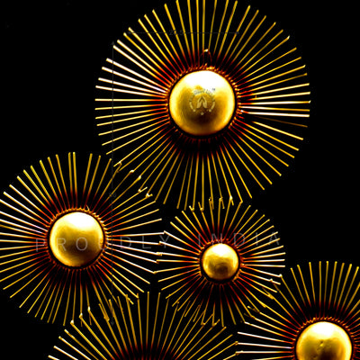 Solar Radiance Array Wall Mural