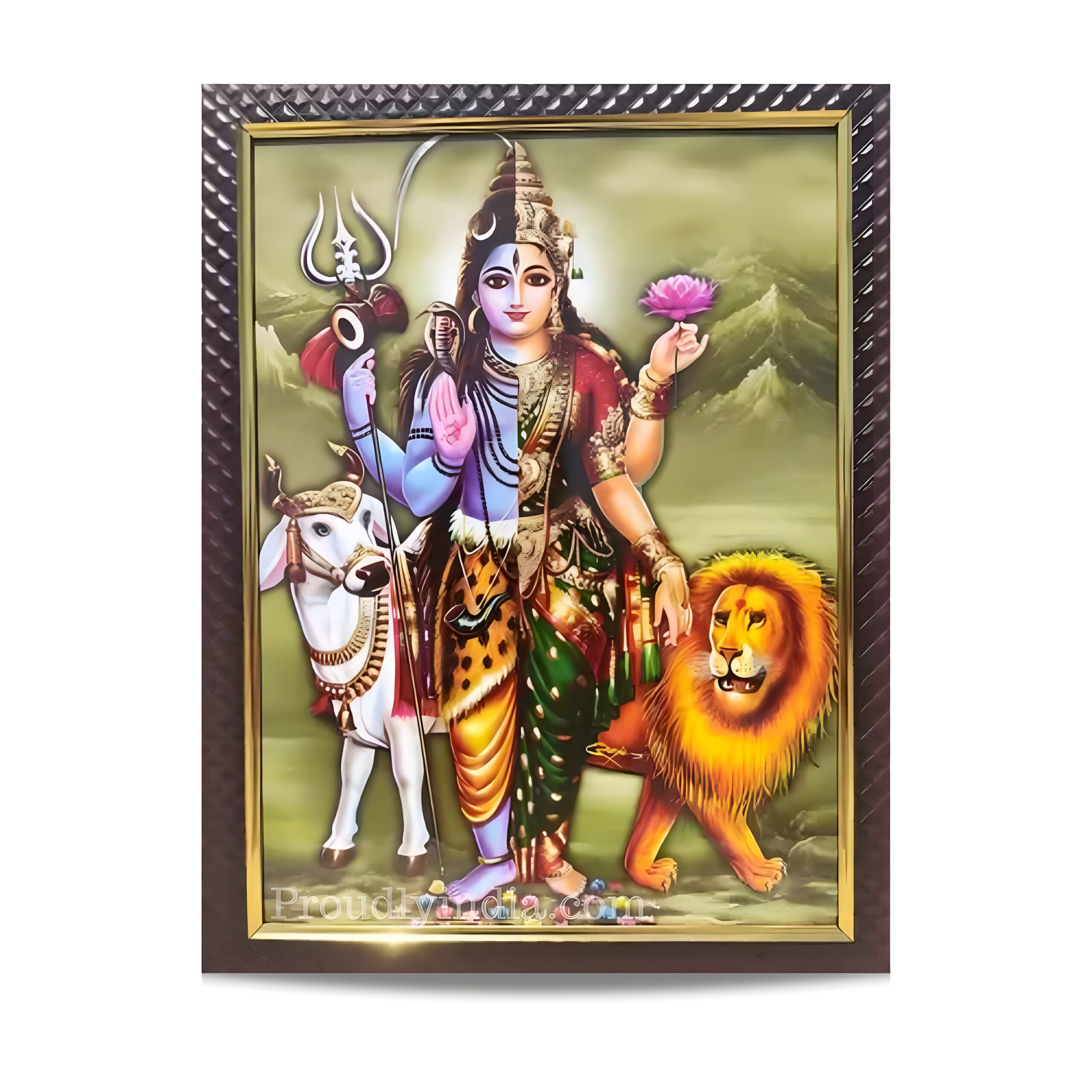 Ardhanareeshwar Photo Religious Frame